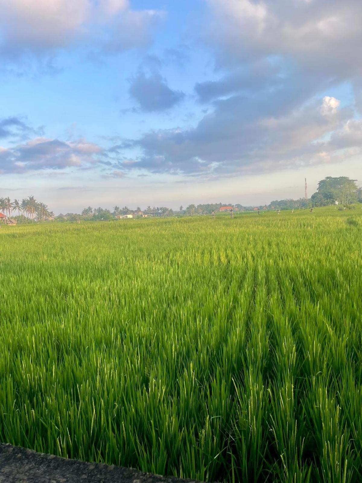 Arbathu Villa Ubud المظهر الخارجي الصورة